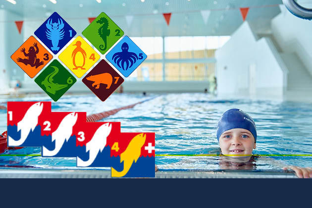 Picture for category Abzeichen Kinderschwimmkurse