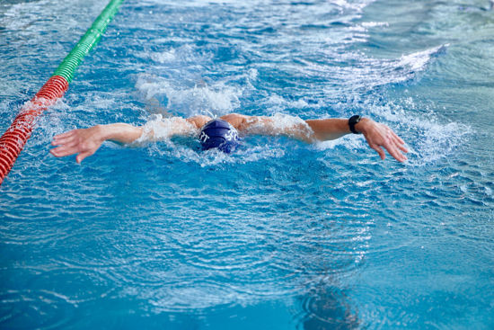 Picture of Schwimmtraining Delfin