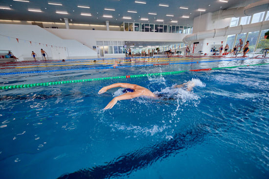 Picture of Schwimmtraining Delfin