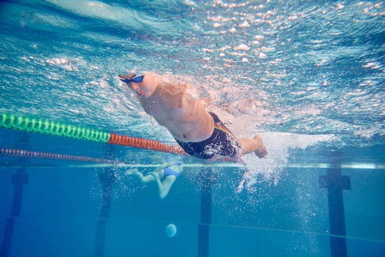 Picture of Schwimmtraining Delfin